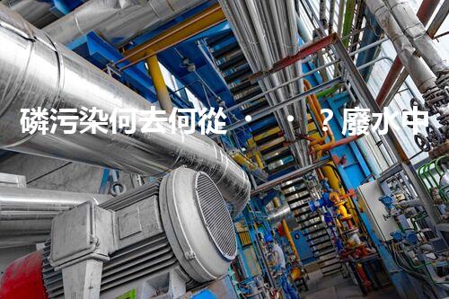 磷污染何去何從？廢水中的磷問題有解嗎？